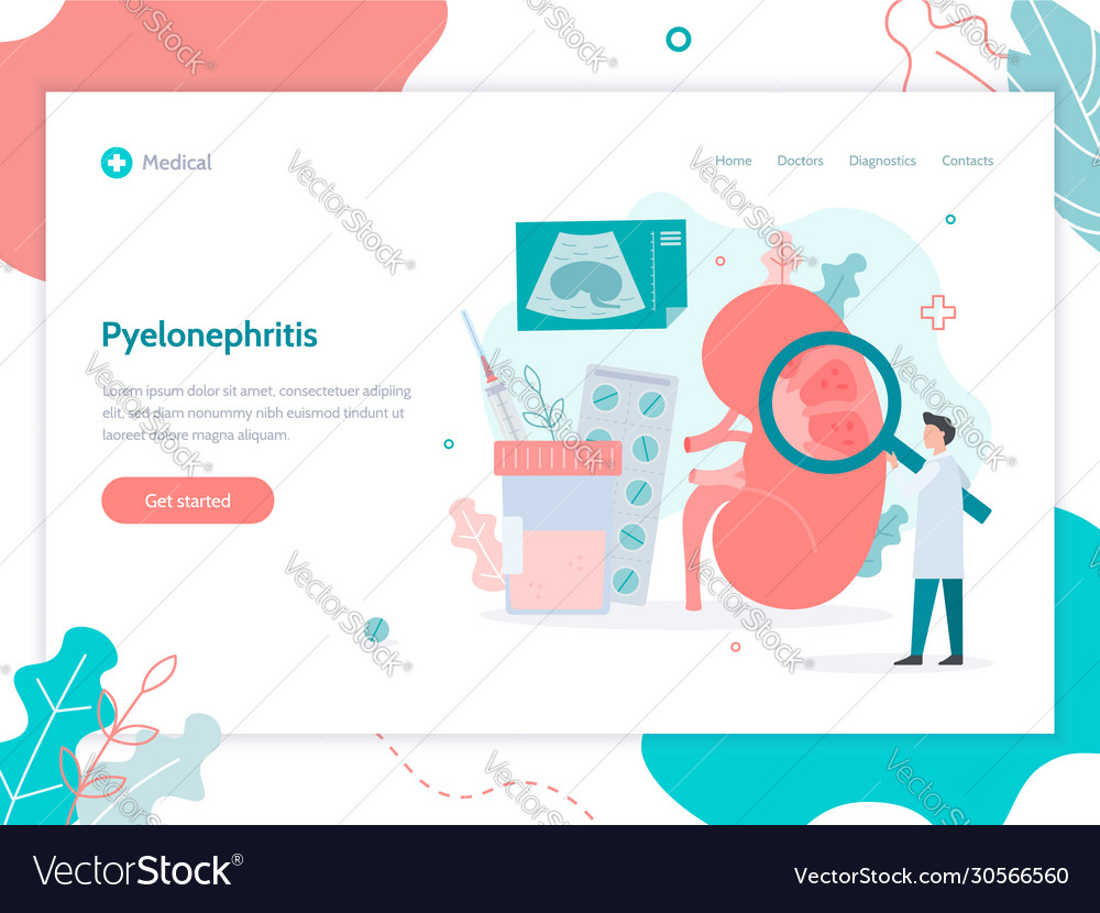 Pyelonephritis kidney web banner