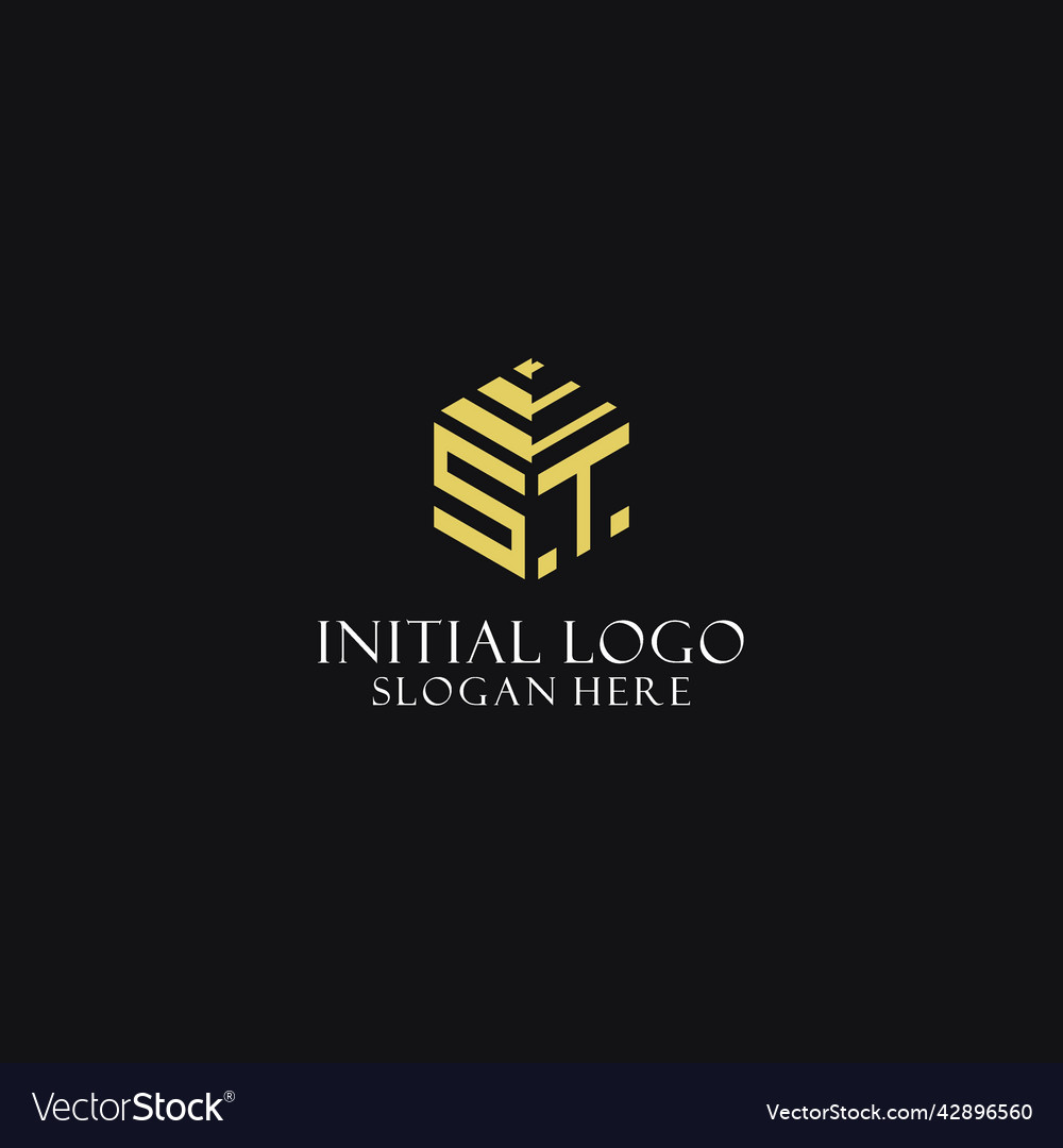 St initial monogram with hexagon shape logo