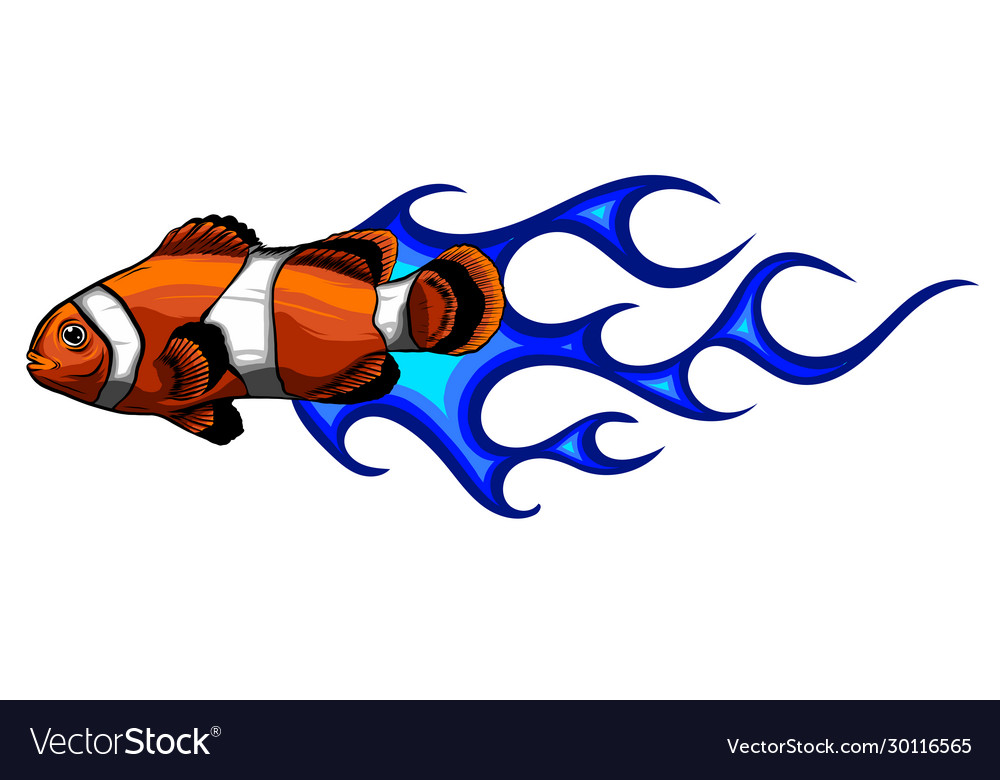 Anemone Fish Isolated On White Clownfish Vector Image