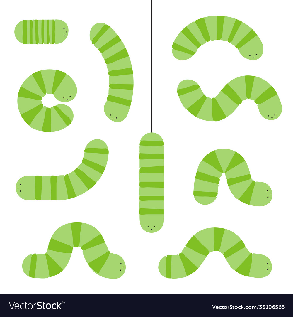 Cartoon caterpillars green larva set caterpillar