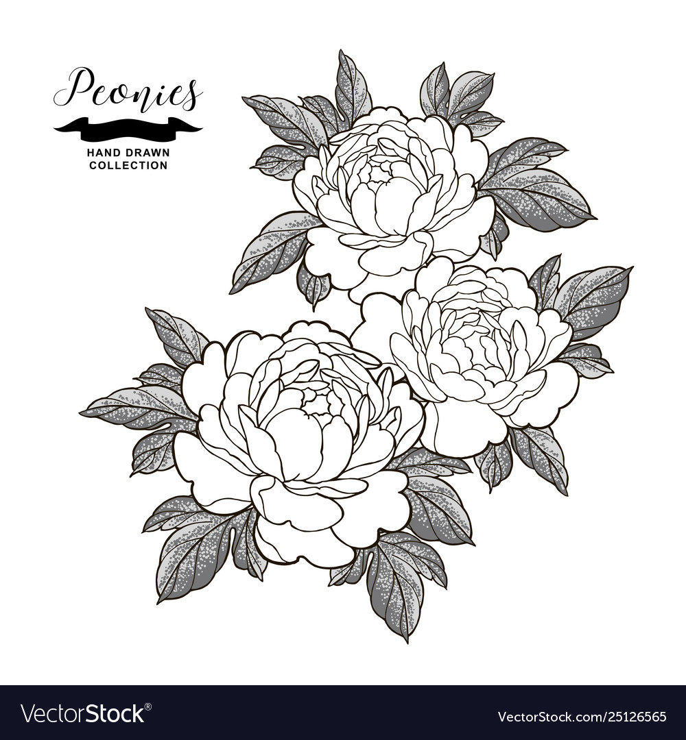 2400 Peony Flower Tattoo Illustrations RoyaltyFree Vector Graphics   Clip Art  iStock