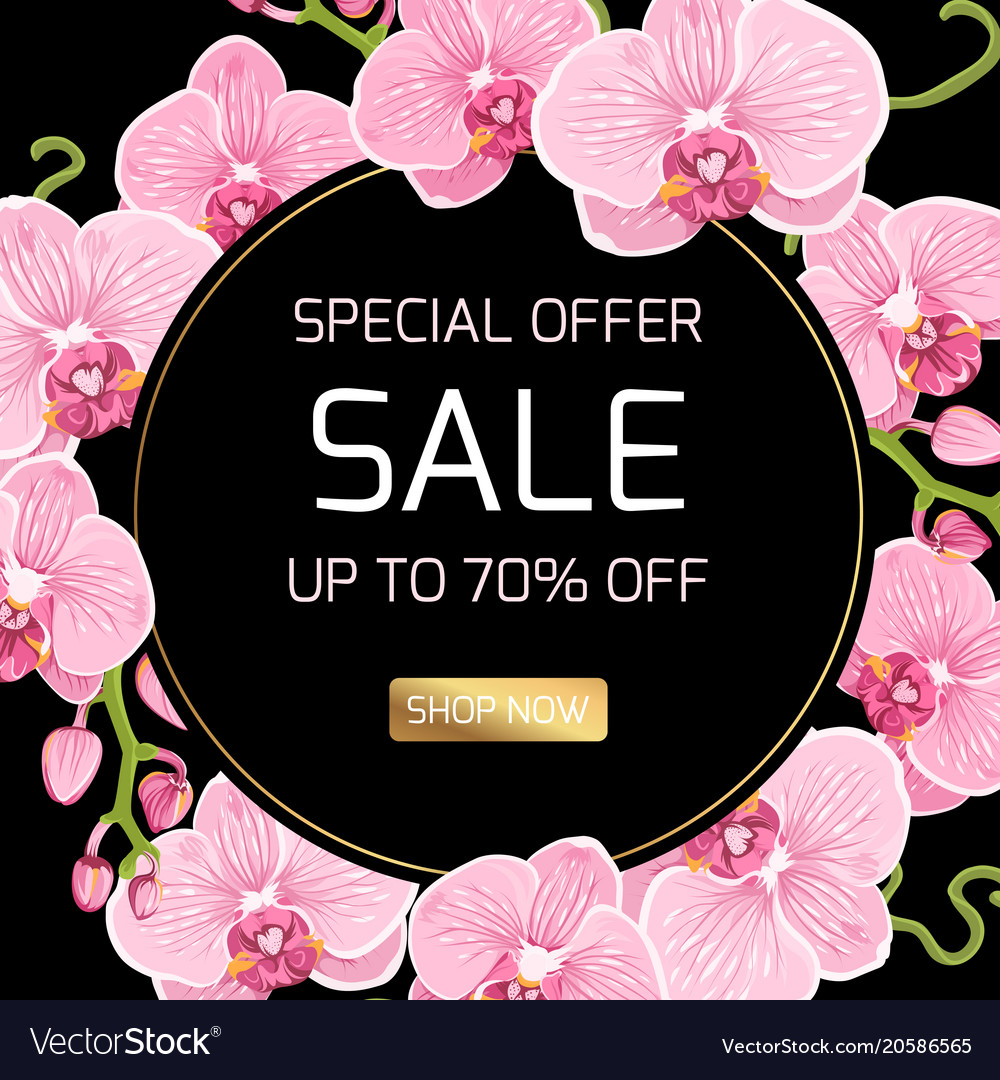 Sale Banner Orchid Flowers Wreath Frame Round Ring