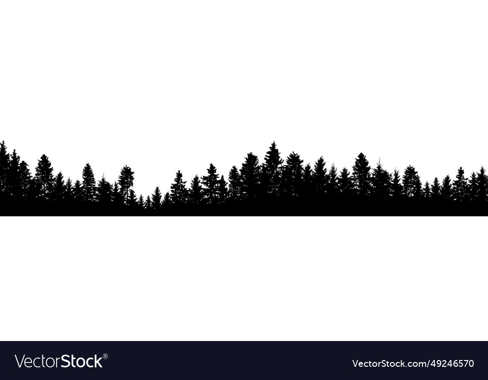 Beautiful forest black silhouette coniferous Vector Image