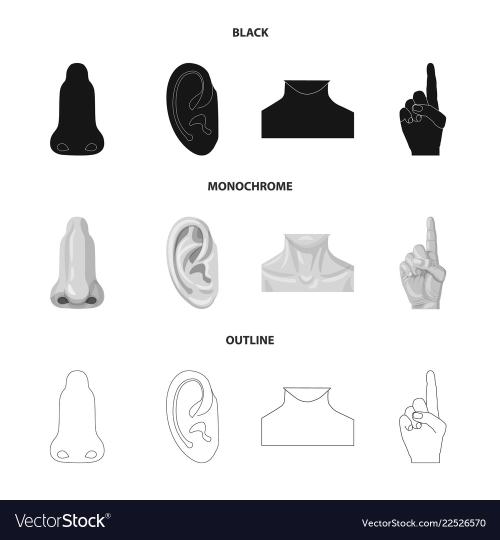 Design of human and part icon collection vector image Design of human and part icon collection