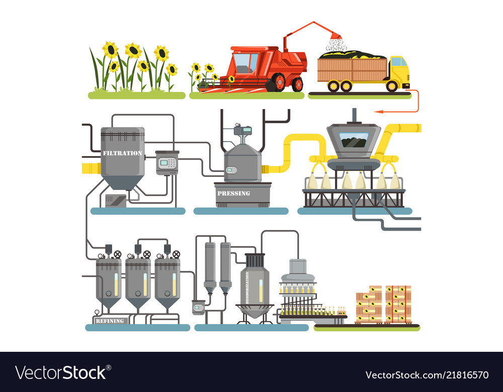 Sunflower oil production process stages