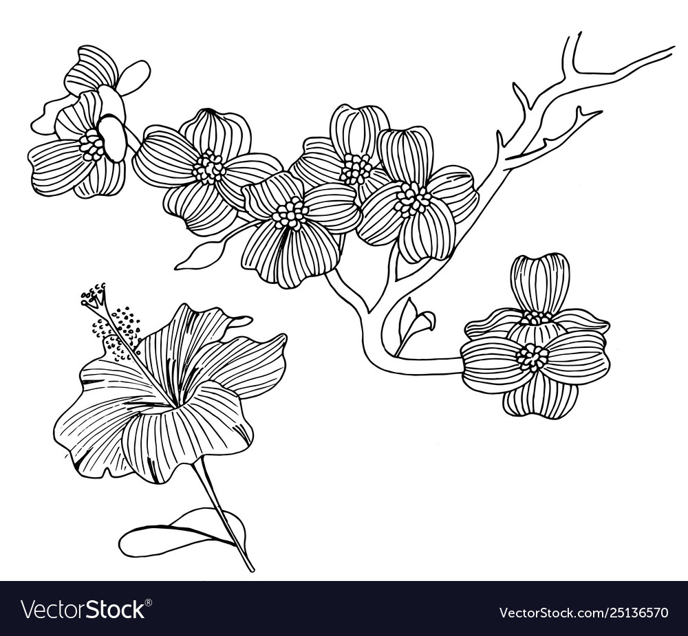 Weiße und schwarze Doodle Blumen