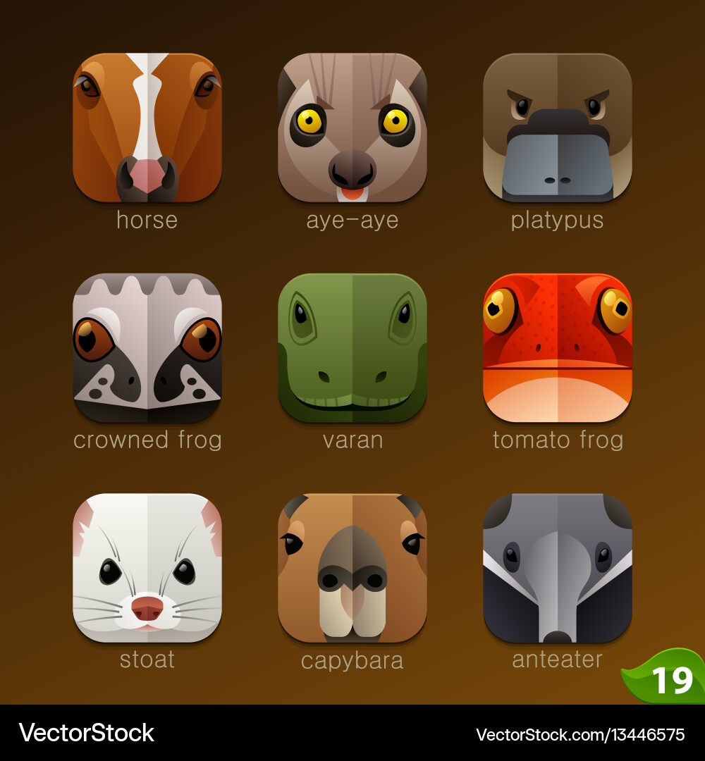 Animal faces for app iconsset 19 Royalty Free Vector Image