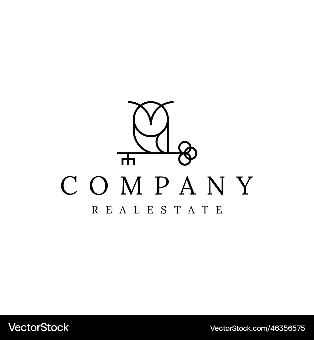 Owl key real estate logo design Royalty Free Vector Image