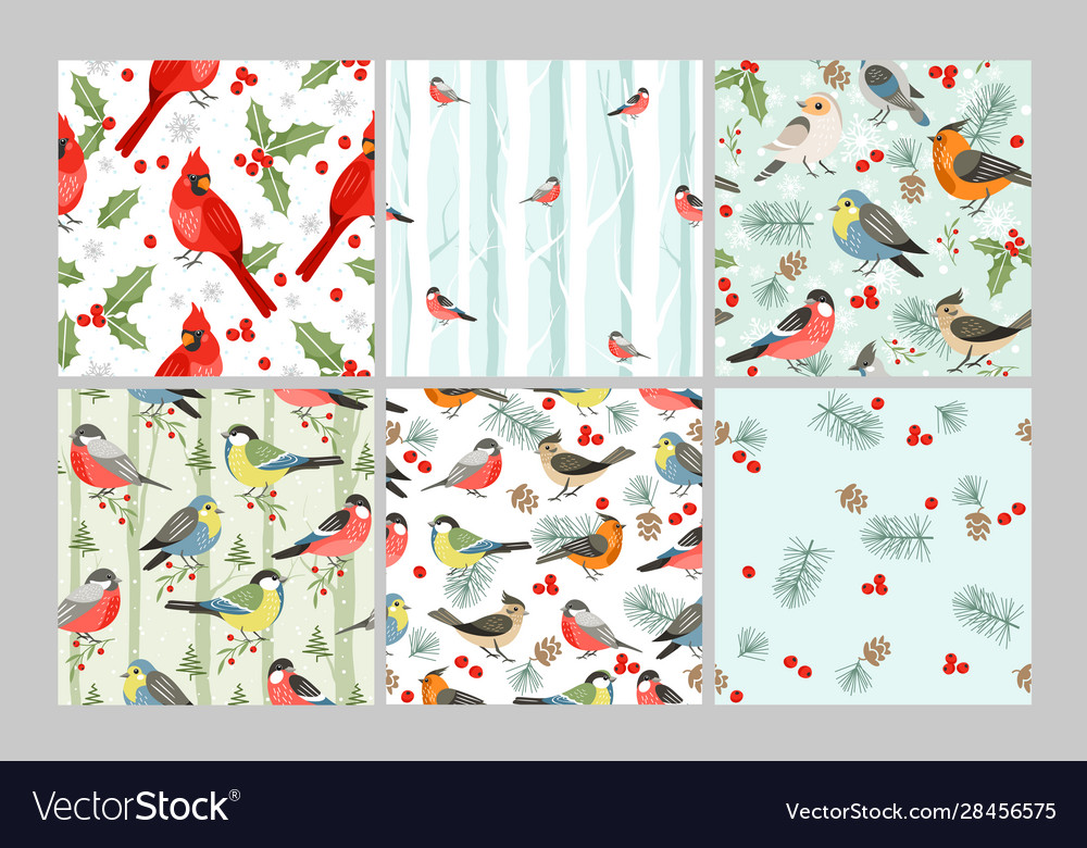 Winter birds seamless patterns set cold