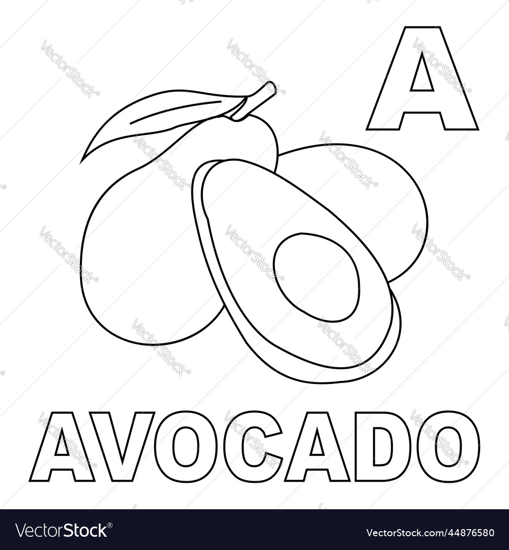 Avocado coloring page with a capital