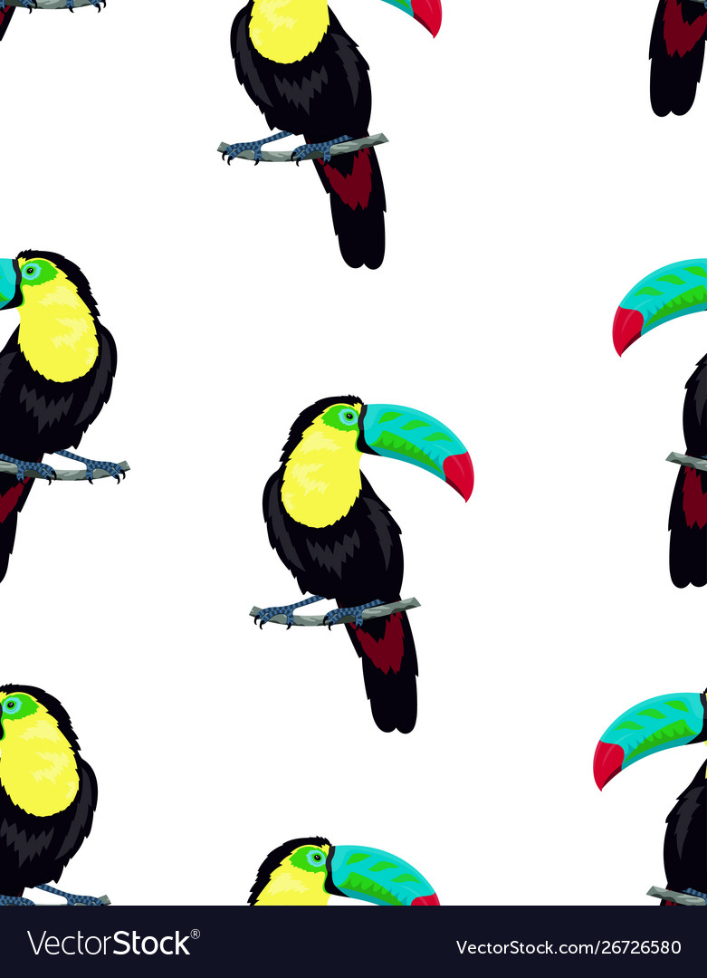 Pattern with toucan on white background Vector Image Pattern with toucan on white background