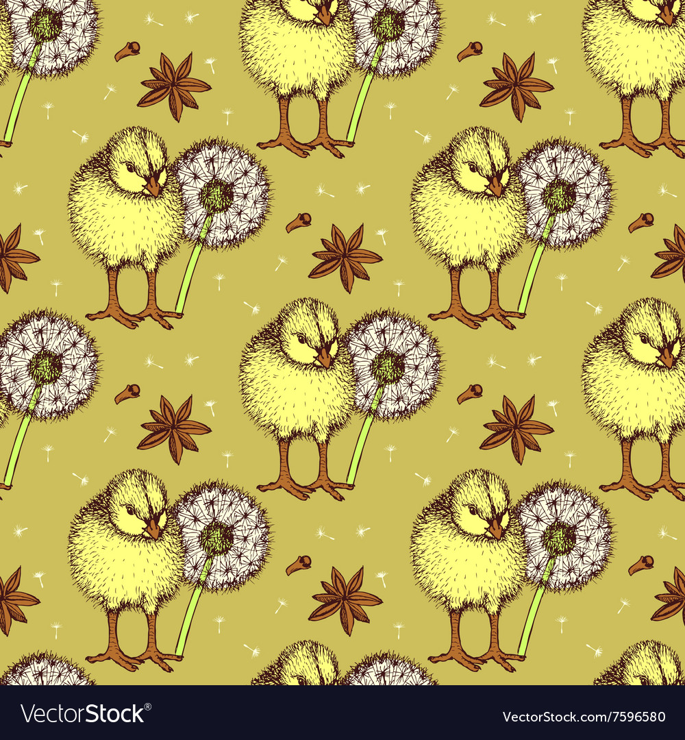 Sketch chicken and dandelion pattern