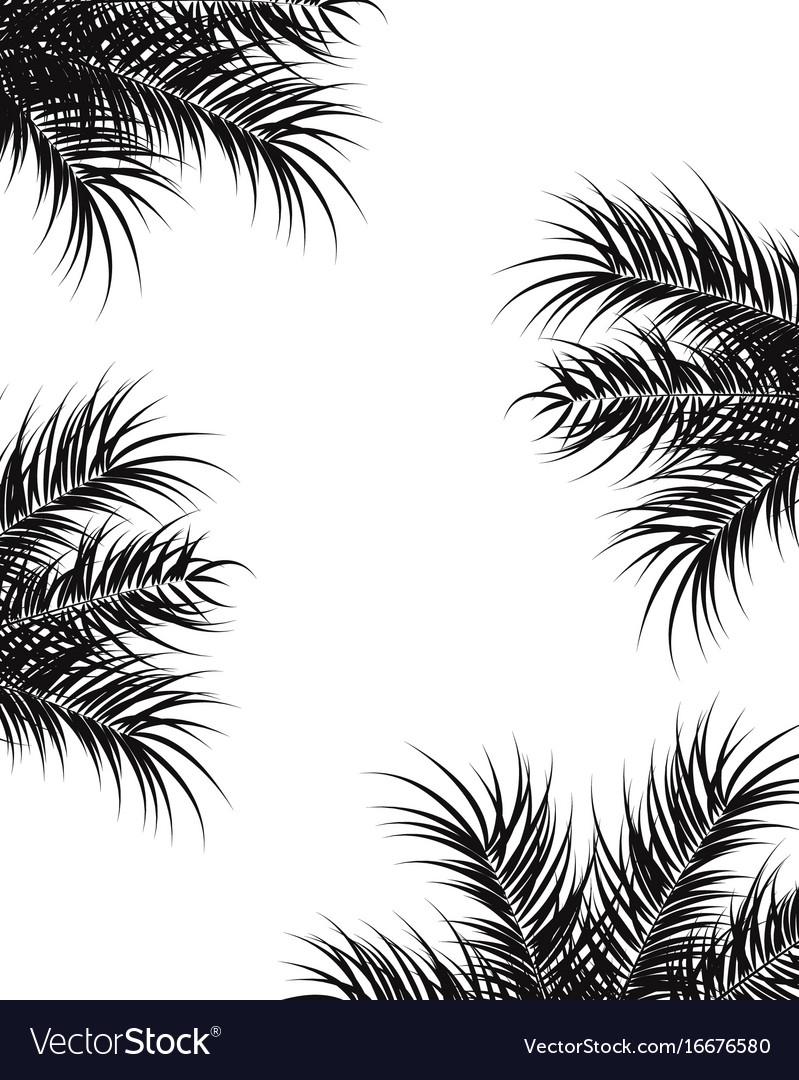 Tropical design with black palm leaves and plants Vector Image