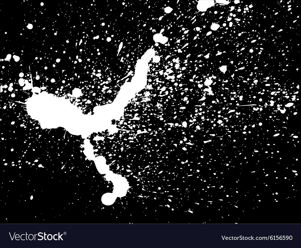 White Paint Splatter on Black