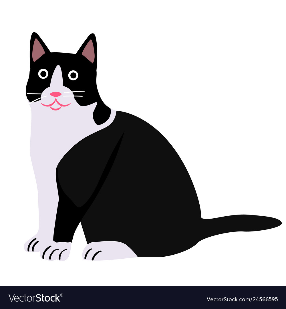 Black and white cat flat Royalty Free Vector Image