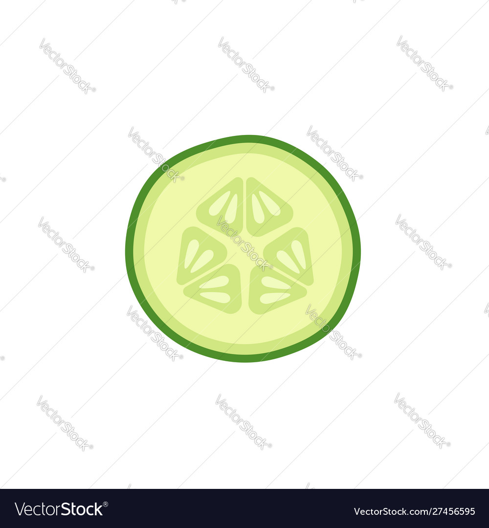 Cucumber slice on white background vector image Cucumber slice on white background