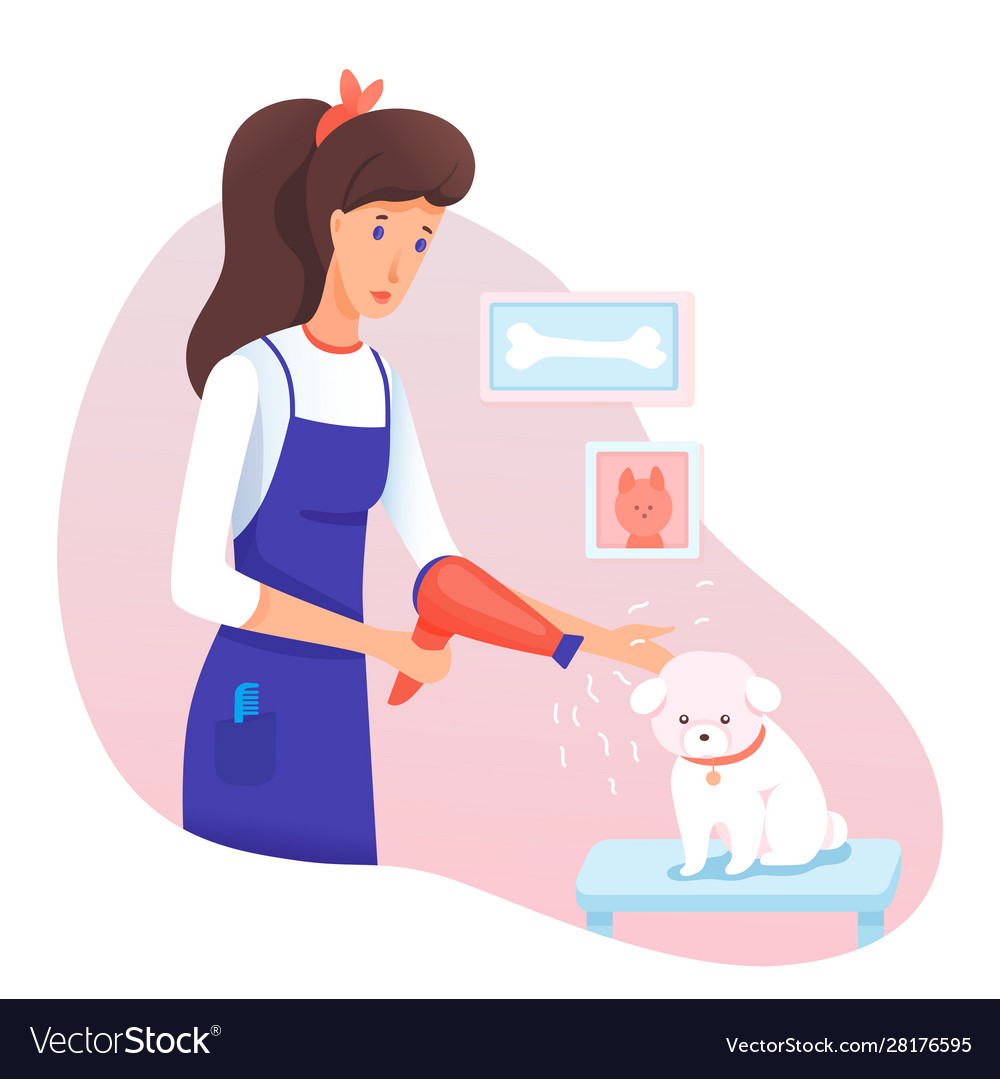 Dog grooming service in veterinary salon cartoon Vector Image Dog grooming service in veterinary salon cartoon Vector Image