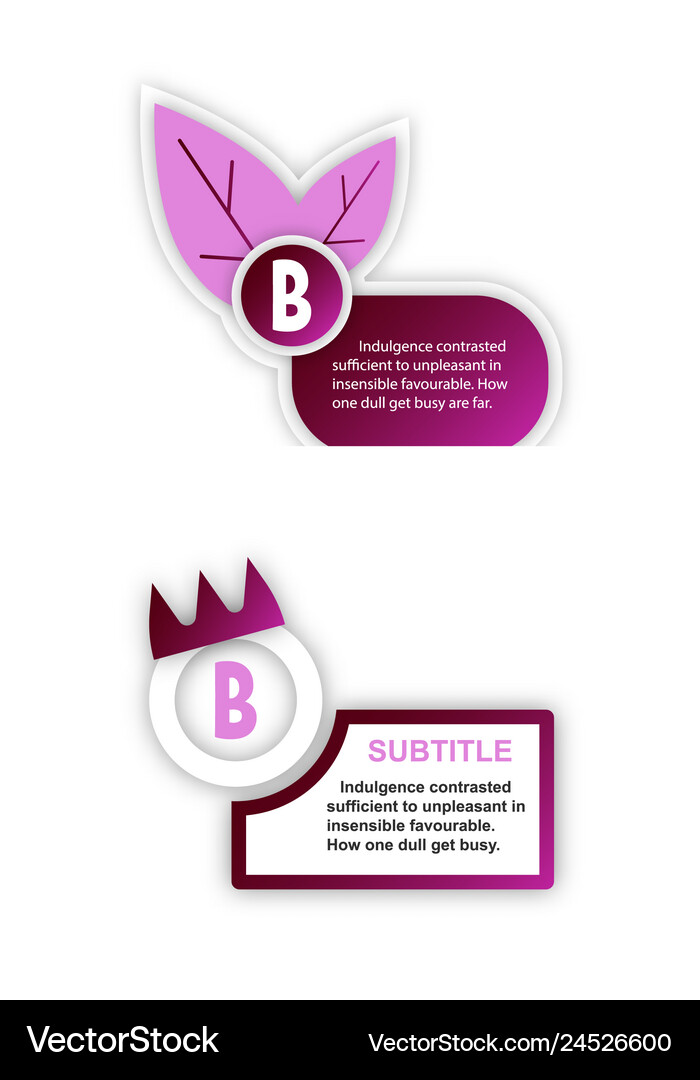 Abstract paper infographic internal and external Vector Image