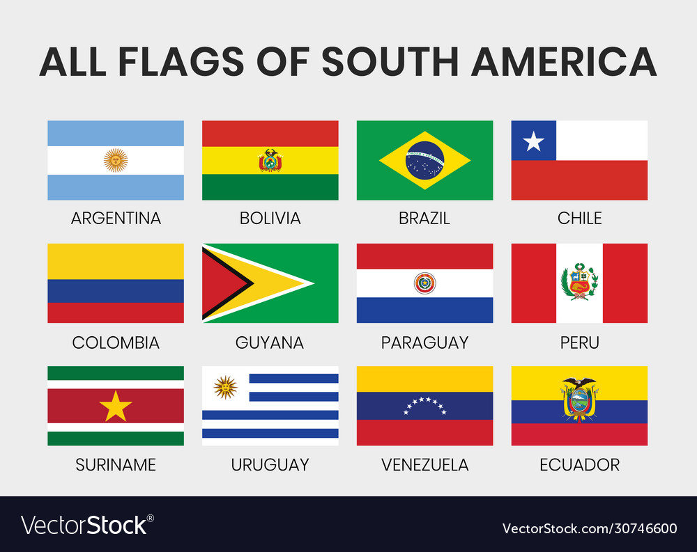 Flags all south america countries Royalty Free Vector Image