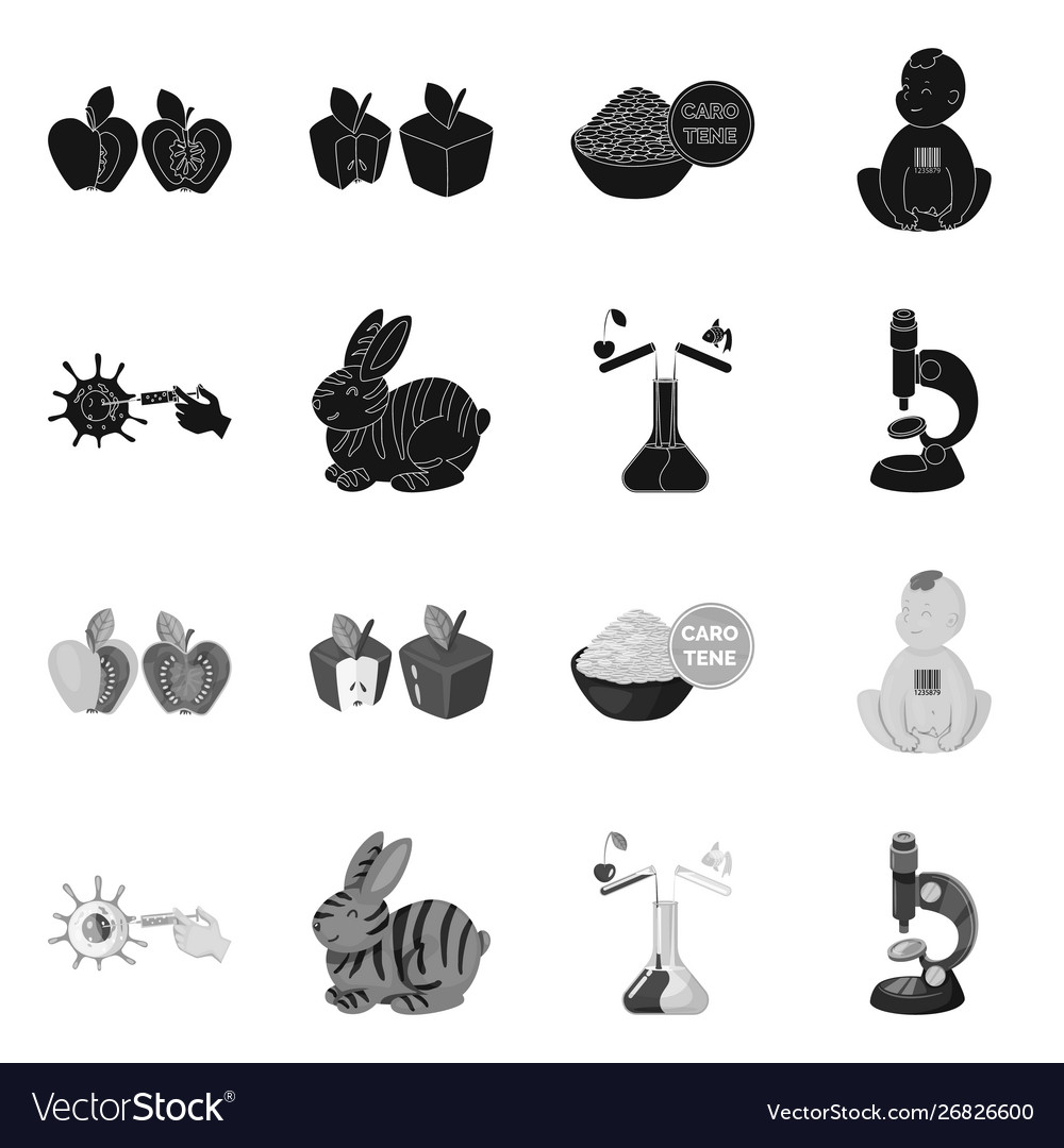 Isolated object test and synthetic symbol set vector image Isolated object test and synthetic symbol set