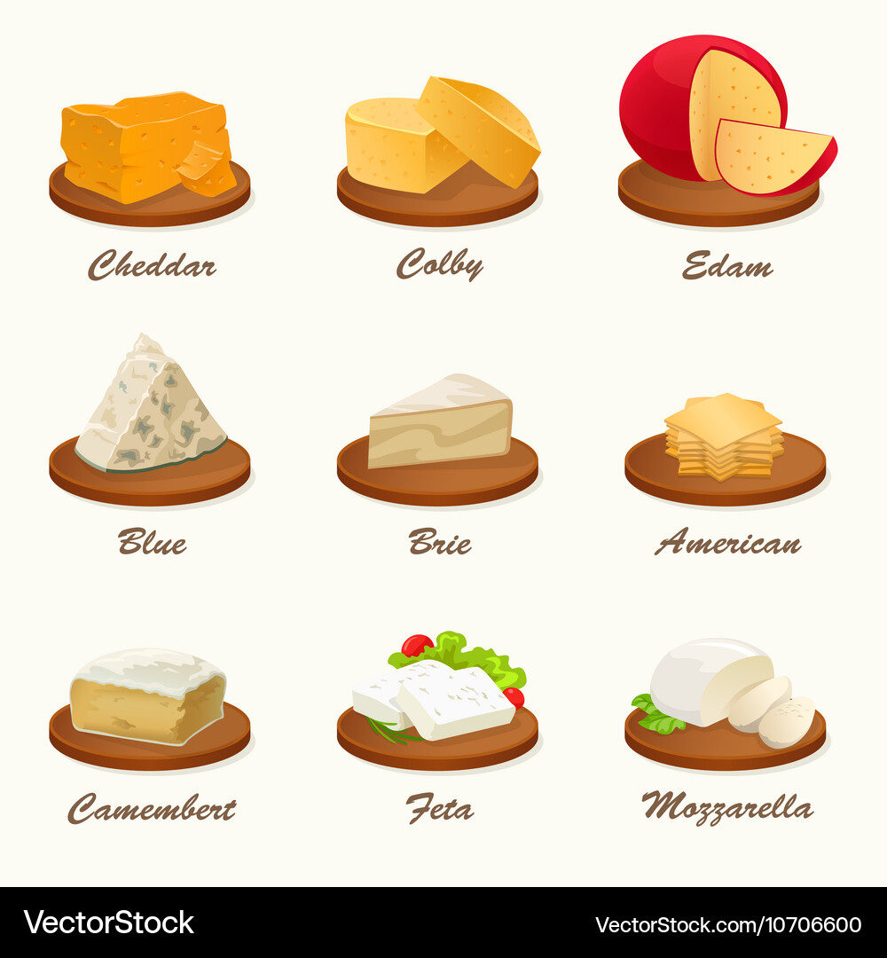 Set of different kinds cheese on cutting board Vector Image