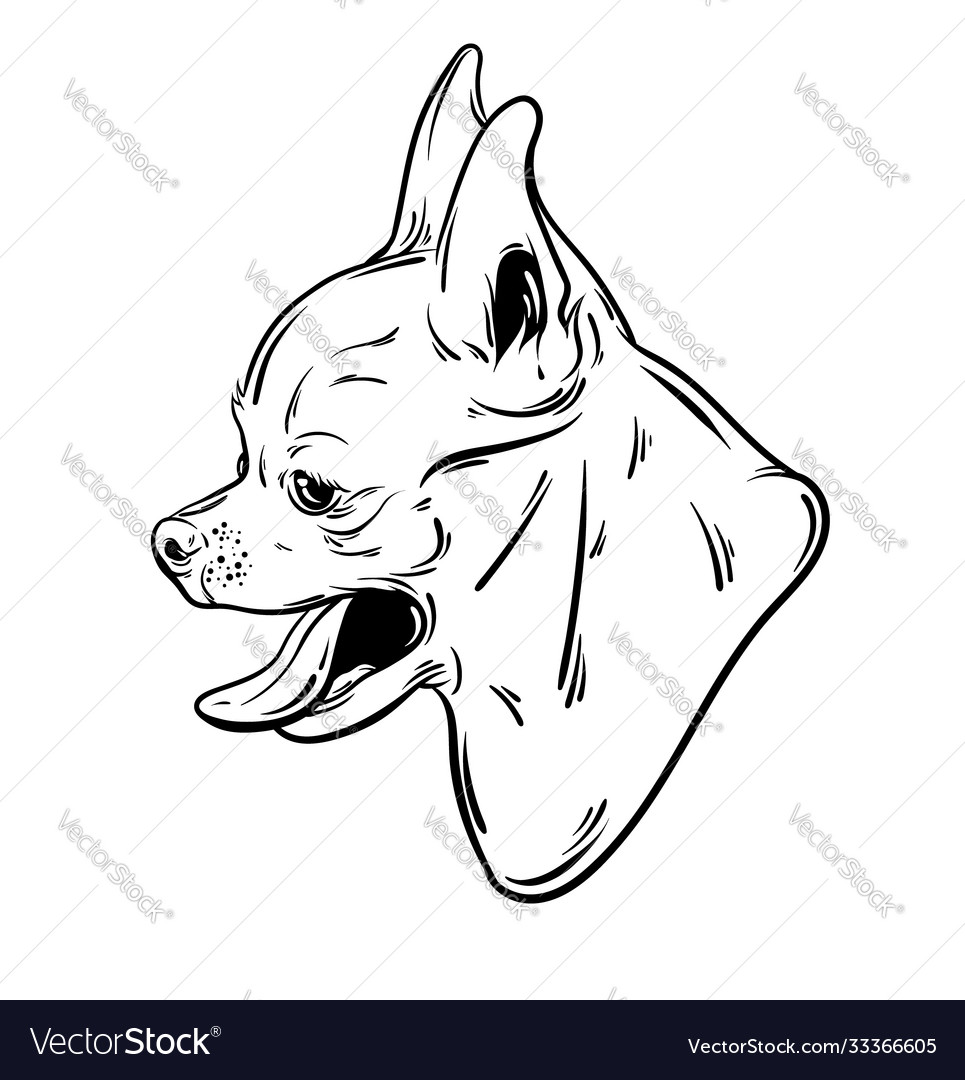 How Do I Get My Puppy To Open His Mouth