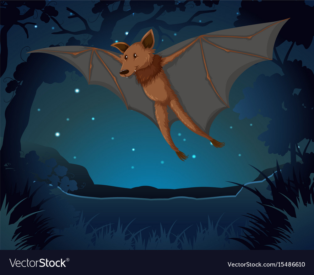 Bat flying in the dark