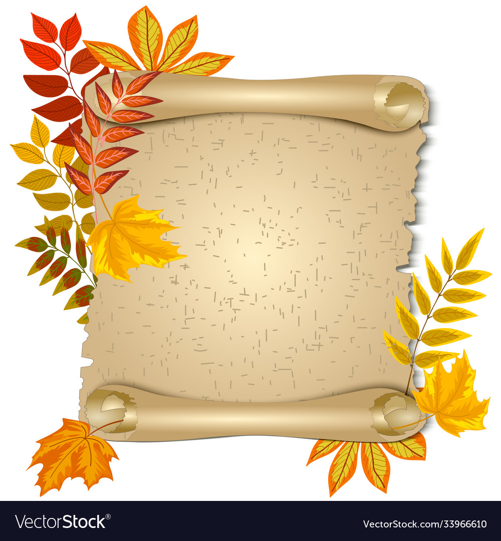 Leaves and scroll vector image Leaves and scroll