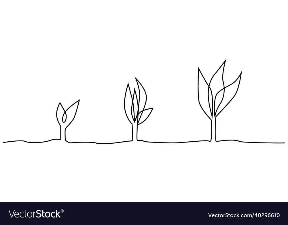 Phase of plant life continuous one line drawing vector image Phase of plant life continuous one line drawing