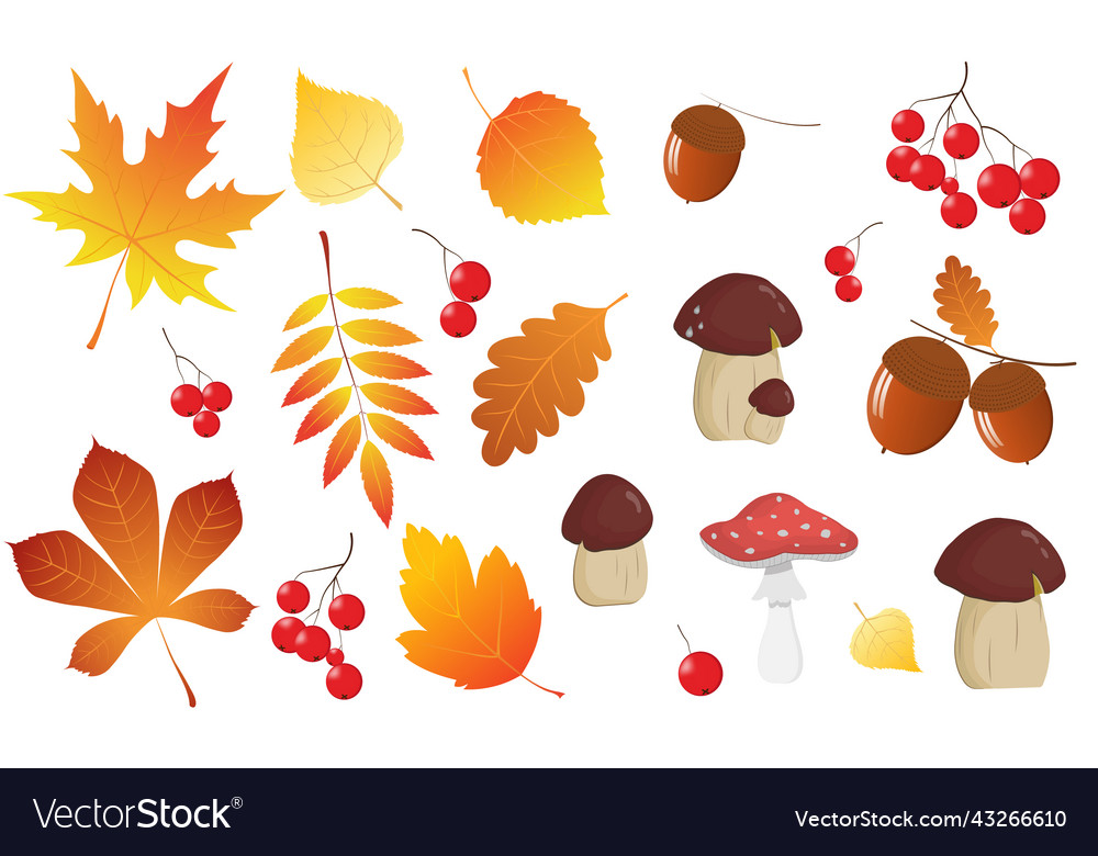 Set of autumn element