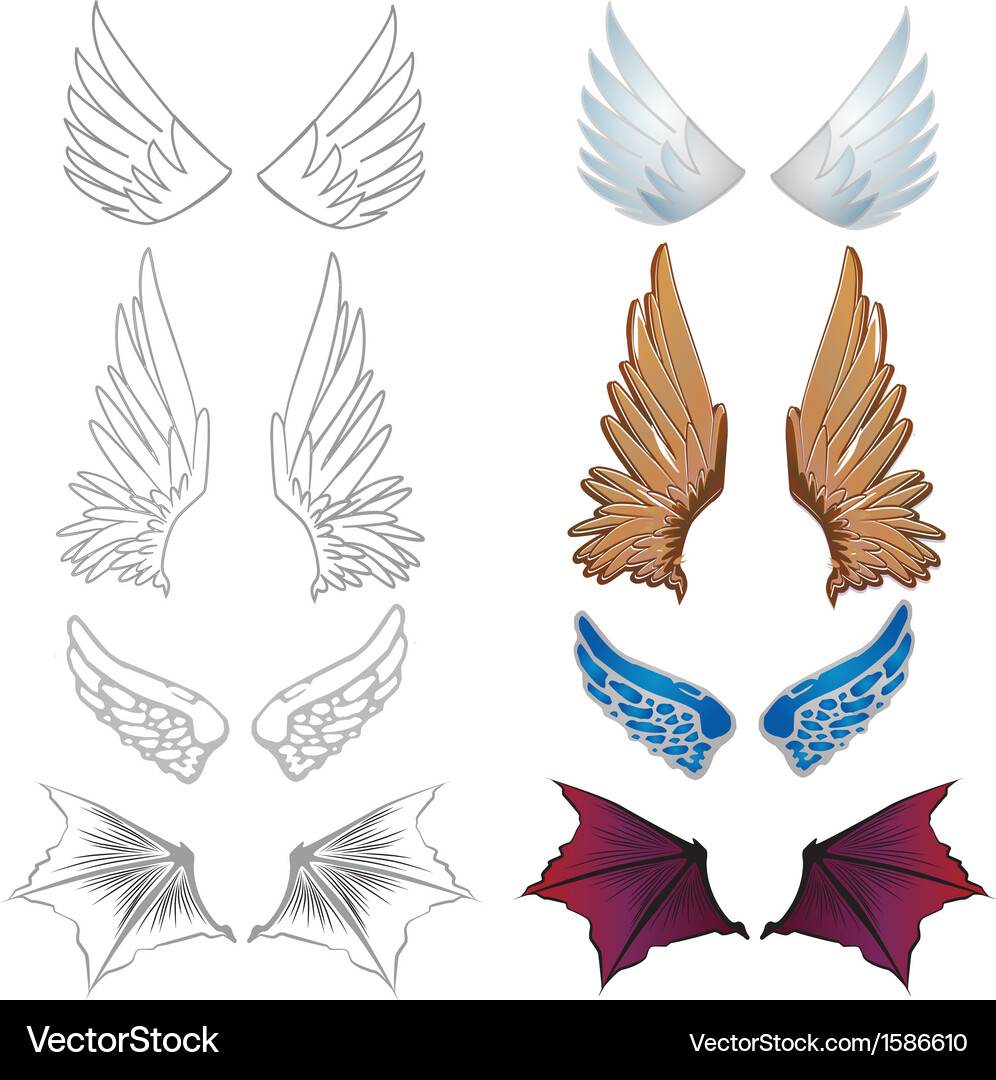 Set of wings Royalty Free Vector Image - VectorStock