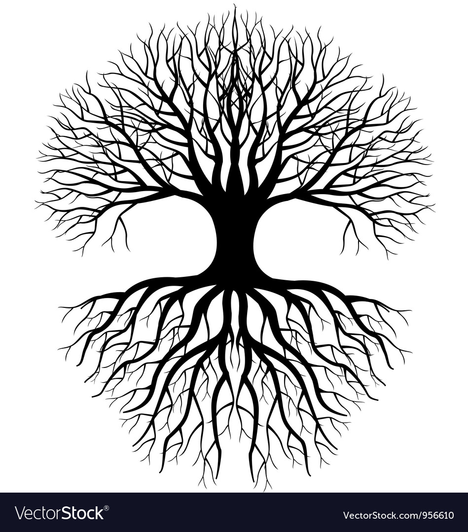 Tree Silhouette Royalty Free Vector Image Vectorstock