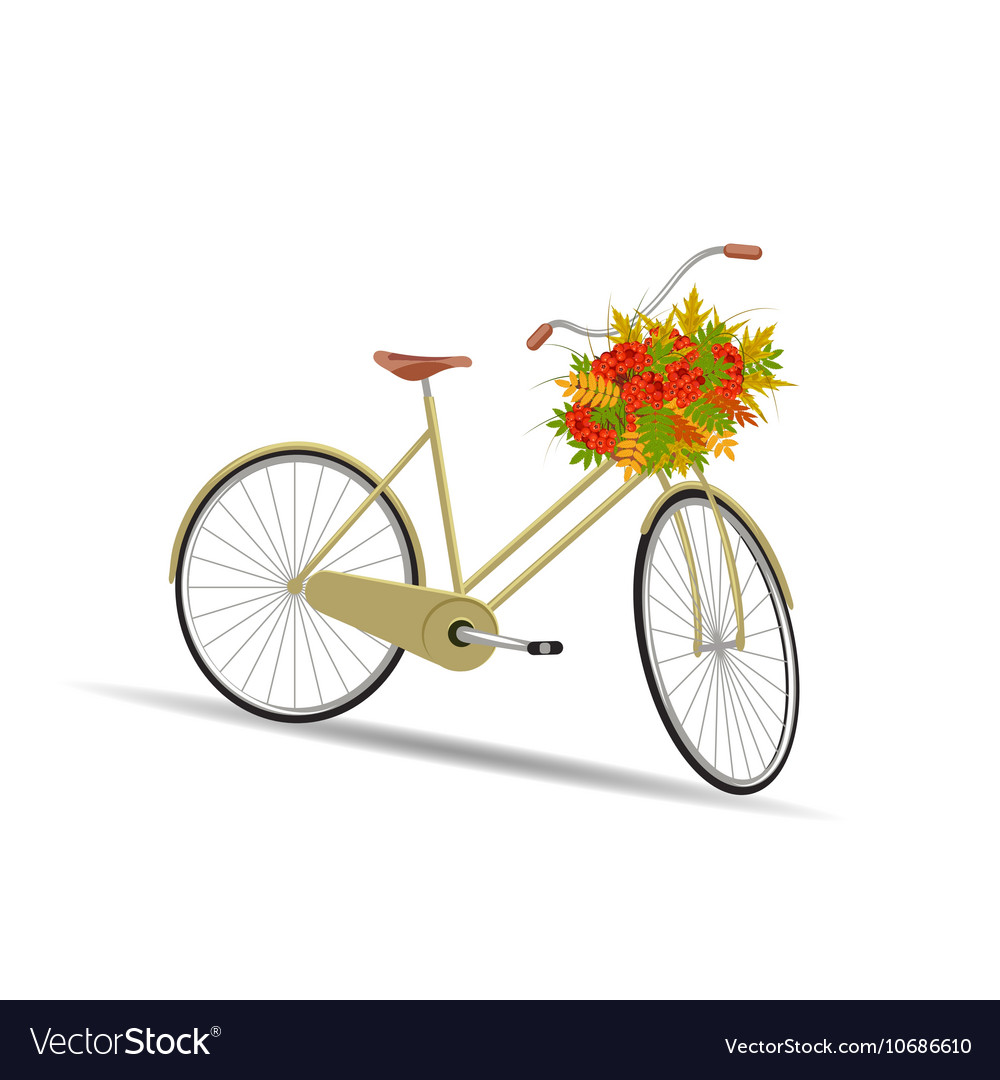 yellow bicycle with basket