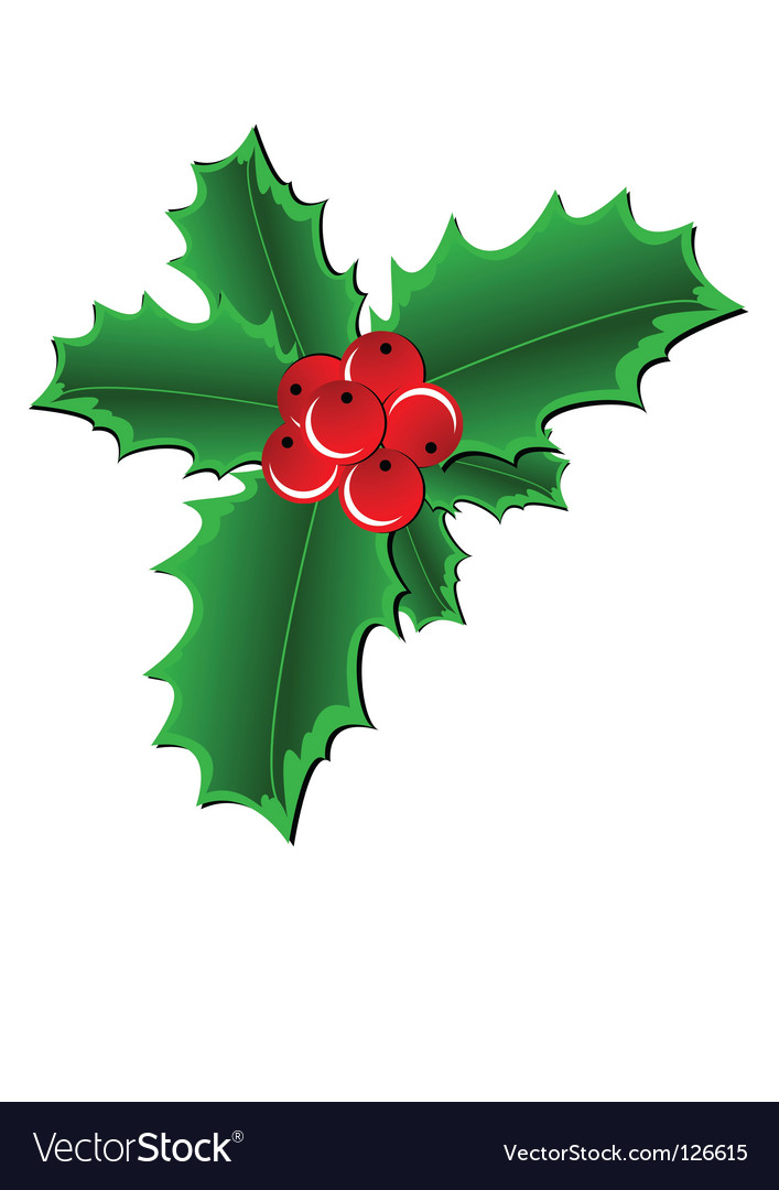 Christmas Holly PNG - Christmas Holly Border, Christmas Holly