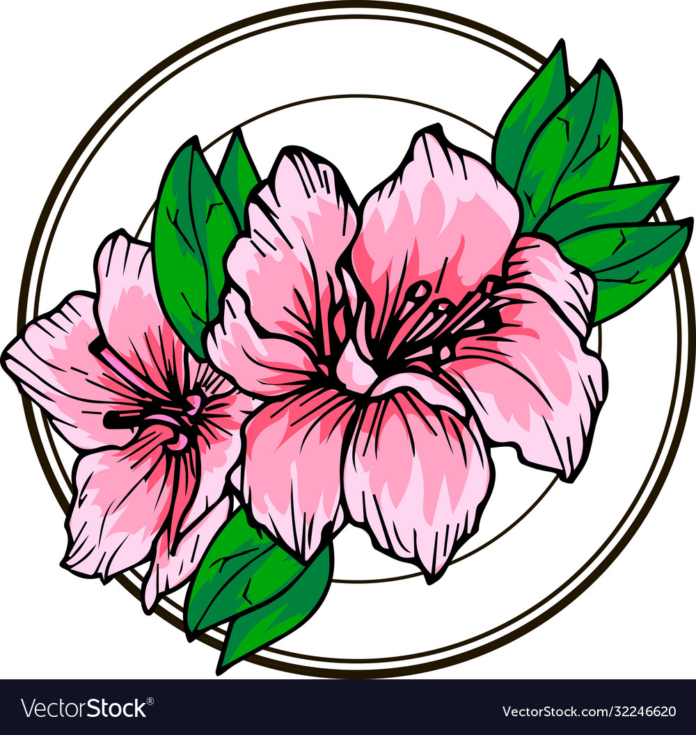 Delicate Pink Azalea Flower