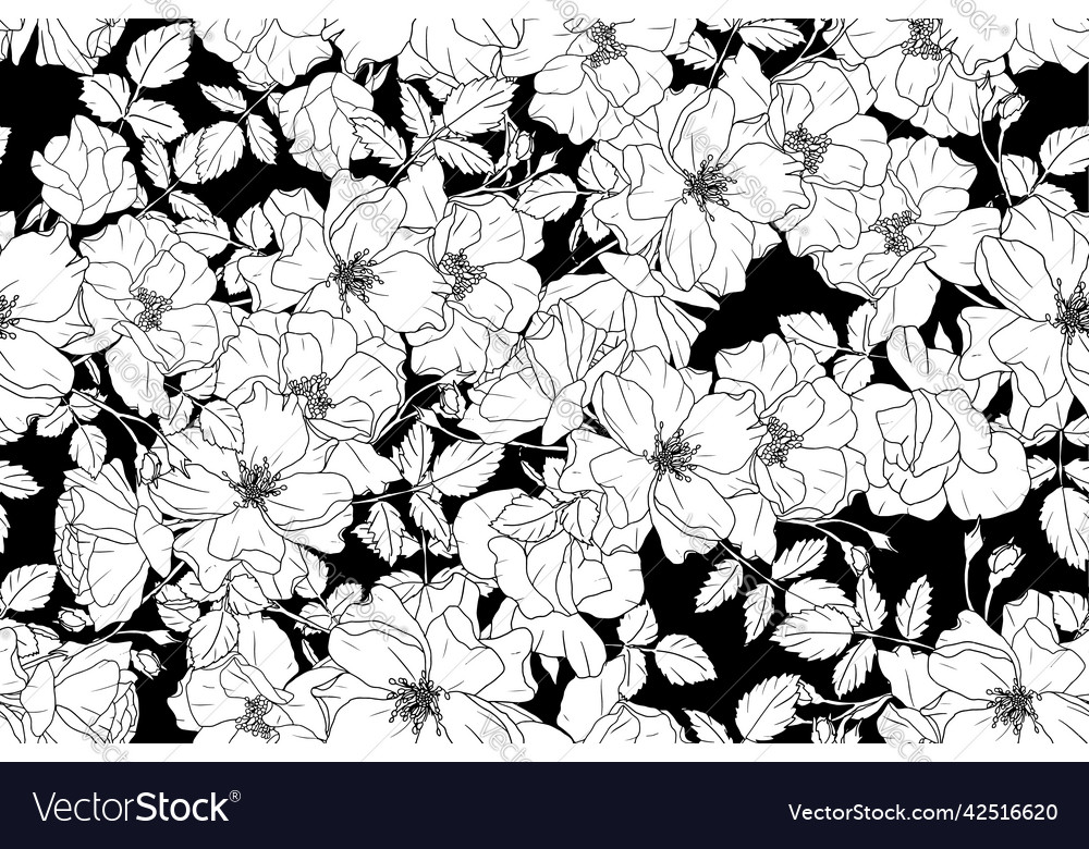 Monochrome black and white doodle line art rose Vector Image