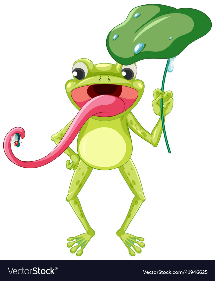 Cartoon frog holding lotus leaf Royalty Free Vector Image