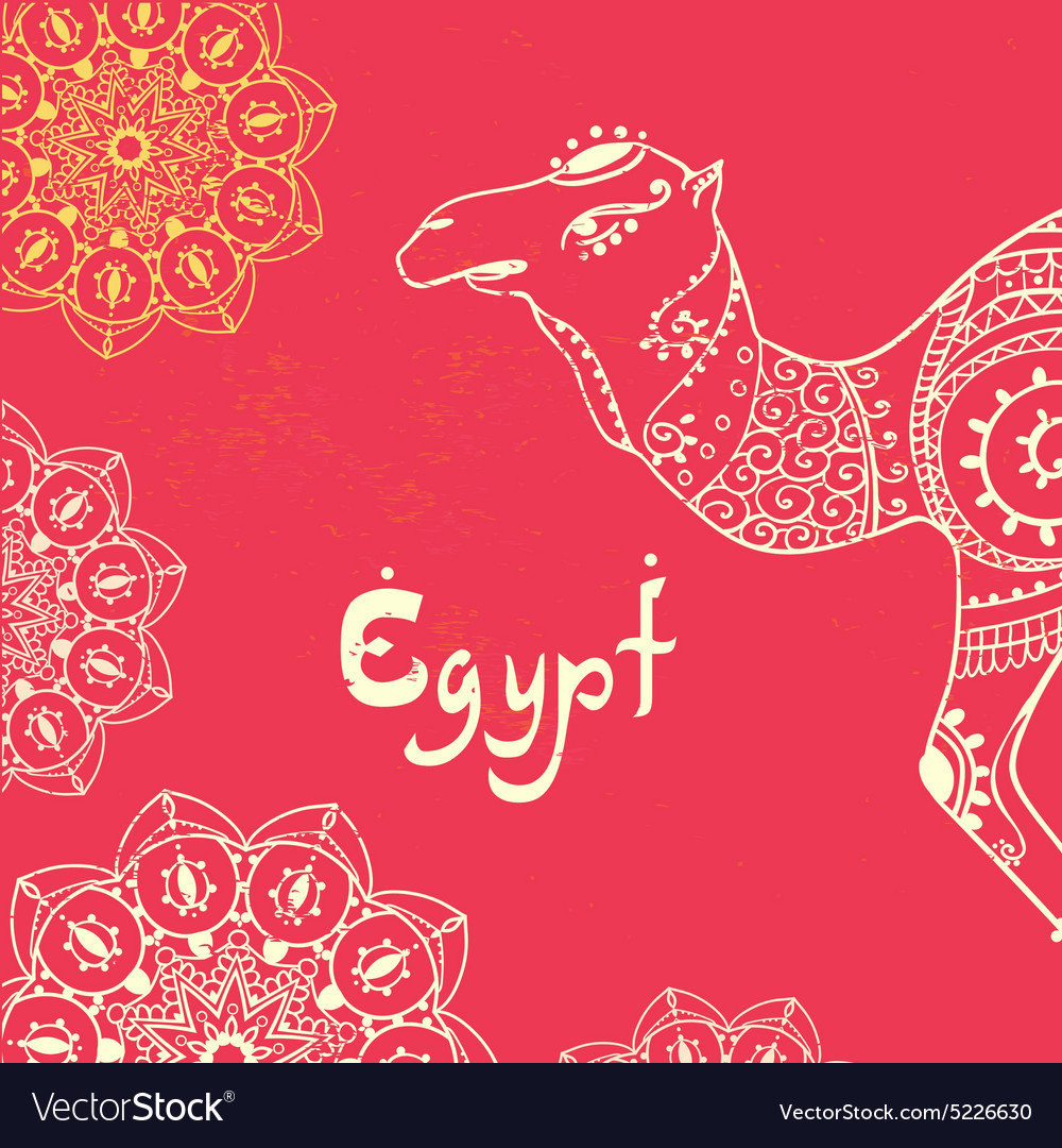 Camel Desert Pattern
