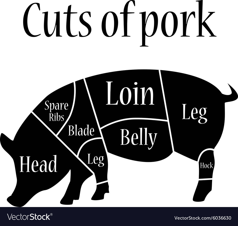 Cuts of pork Royalty Free Vector Image - VectorStock