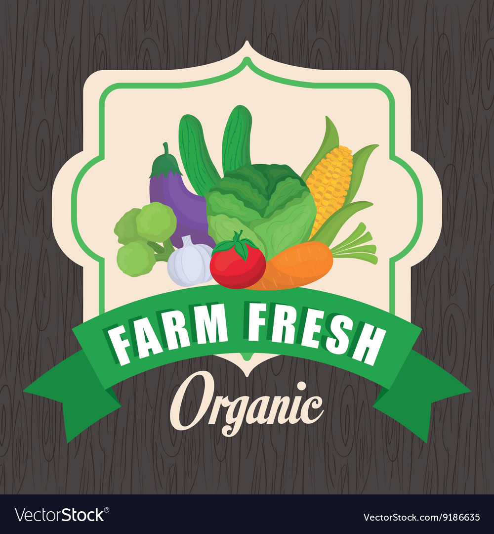 Farm fresh design organic food icon colorful Vector Image