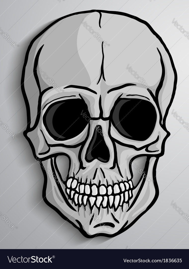 Human skull