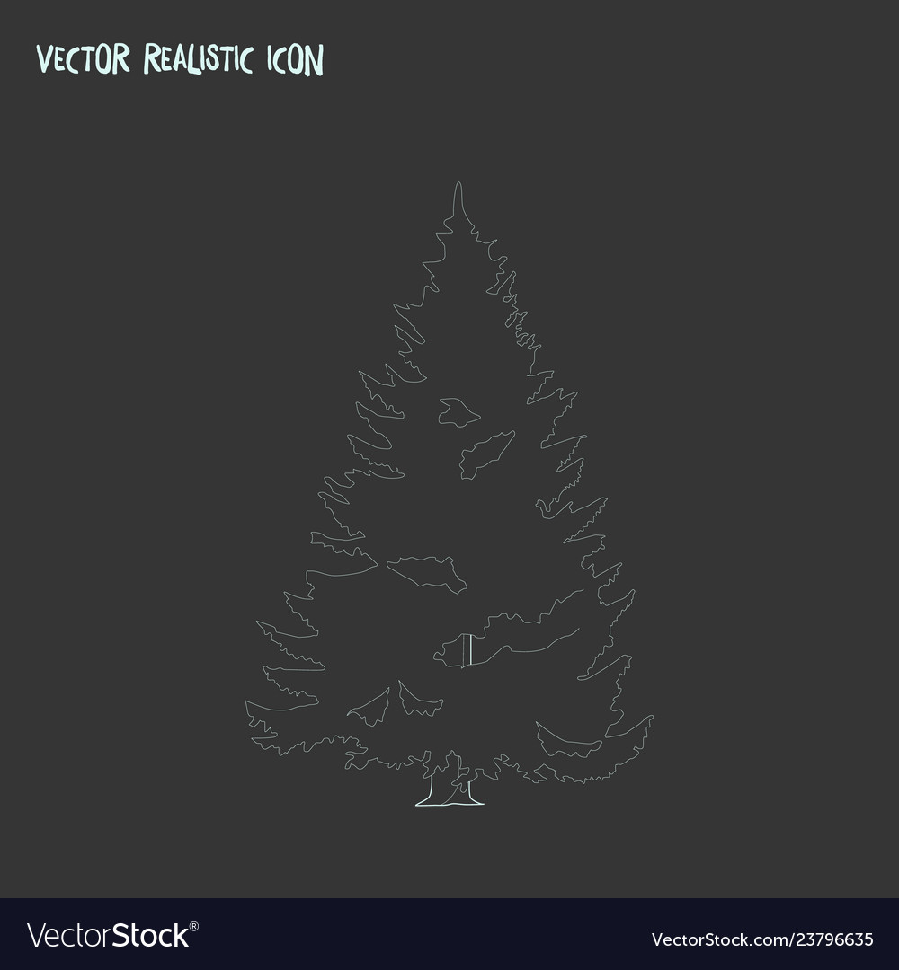 Spruce icon line element vector image Spruce icon line element