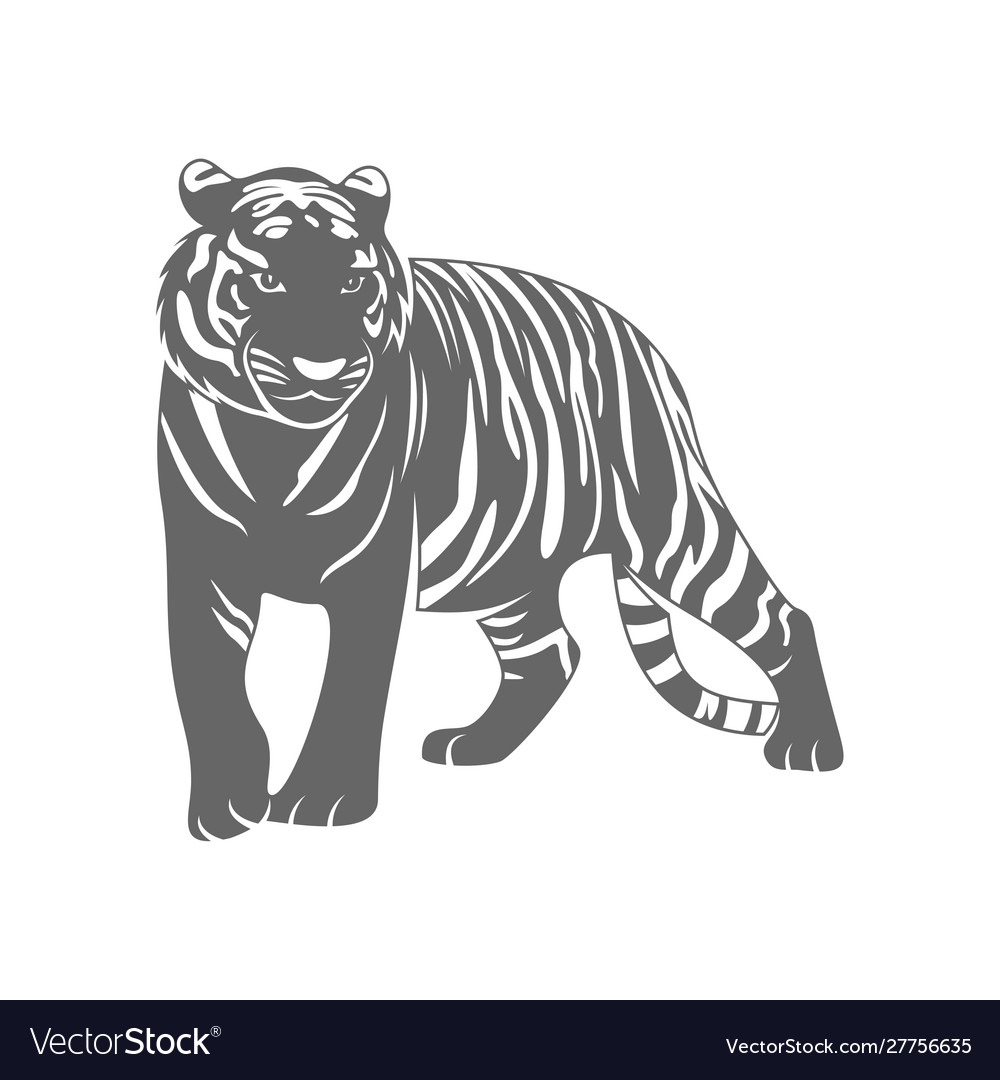 Tiger logo design template