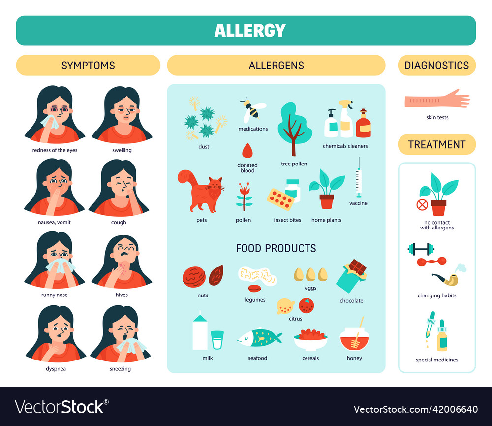 Allergy colored infographic Royalty Free Vector Image