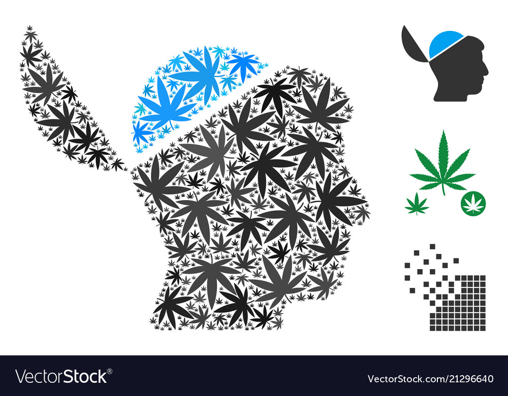 Open brain composition of cannabis