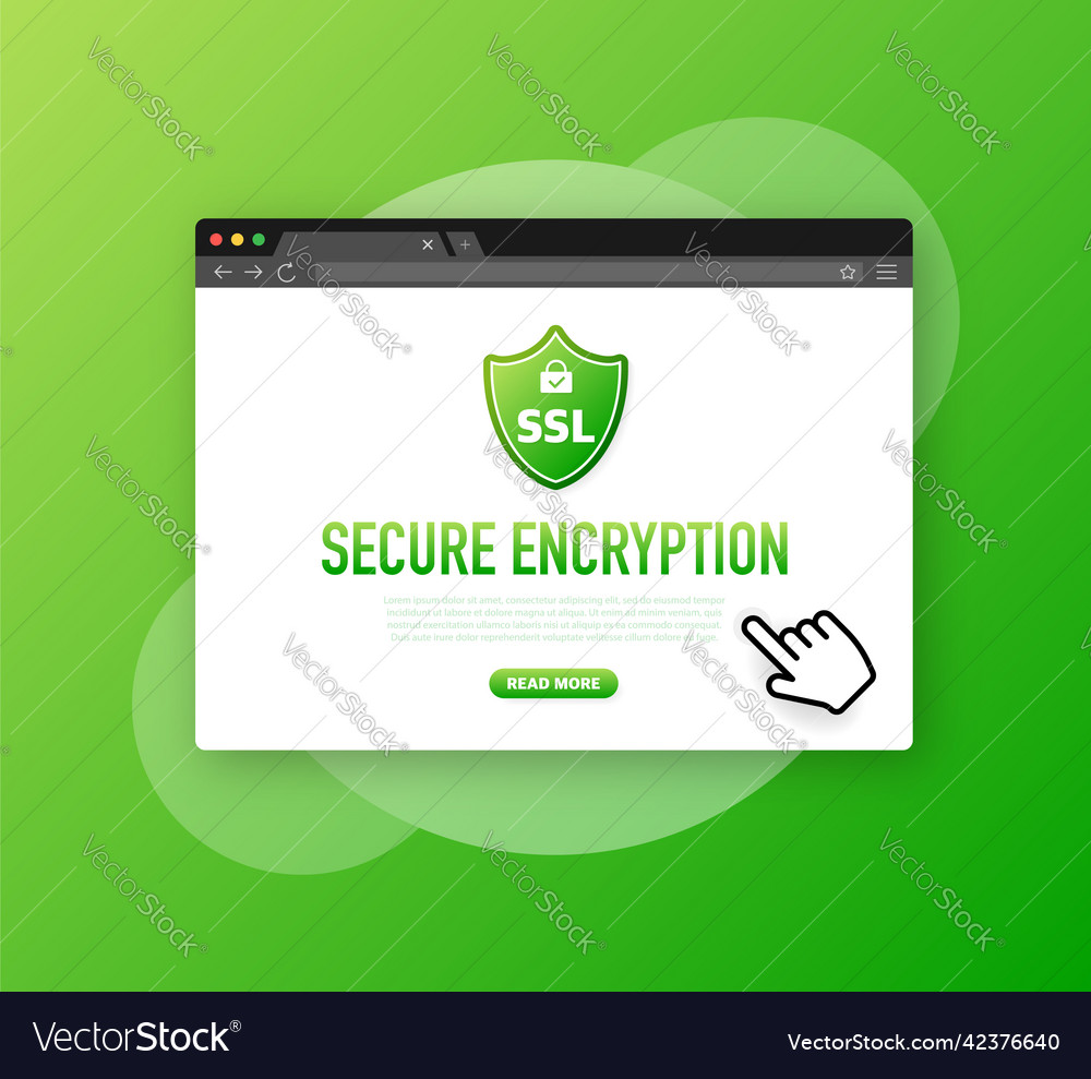 Secure connection icon vector image Secure connection icon
