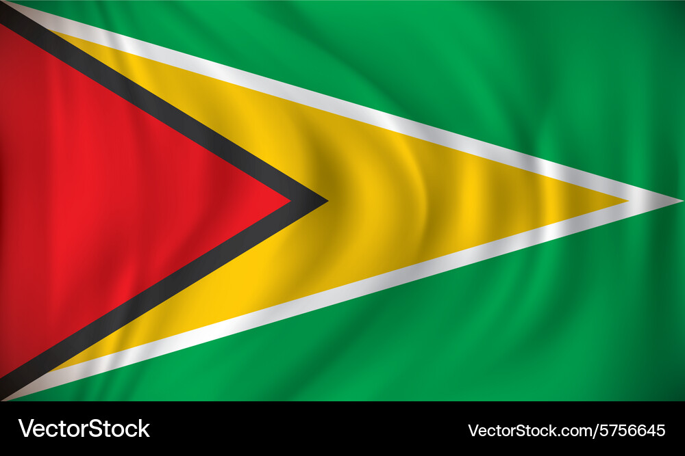 Flag of Guyana Royalty Free Vector Image VectorStock