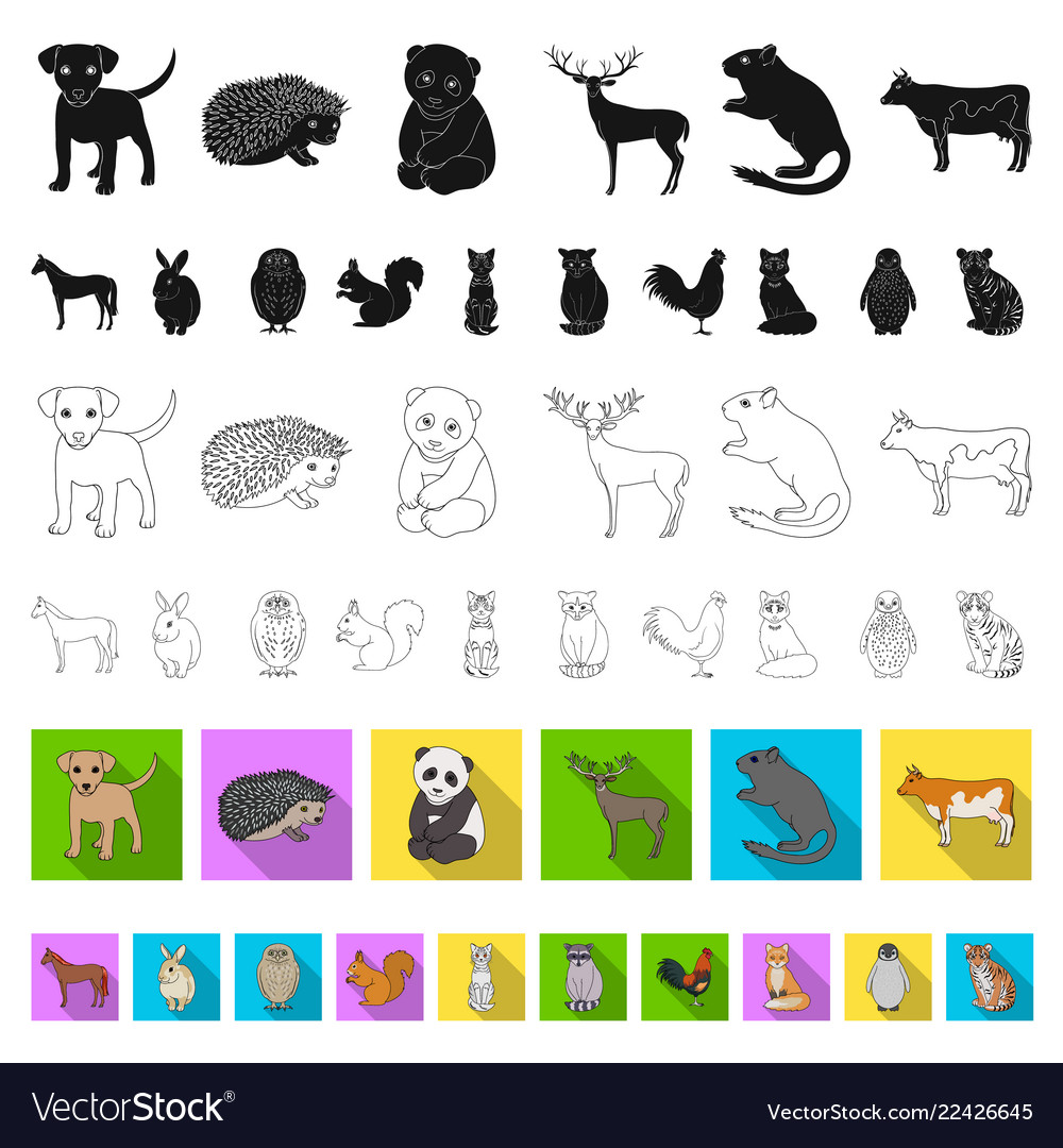 Realistic animals flat icons in set collection