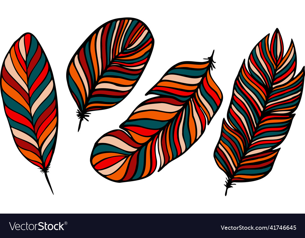 Set of different feathers handwritten in colorful vector image Set of different feathers handwritten in colorful