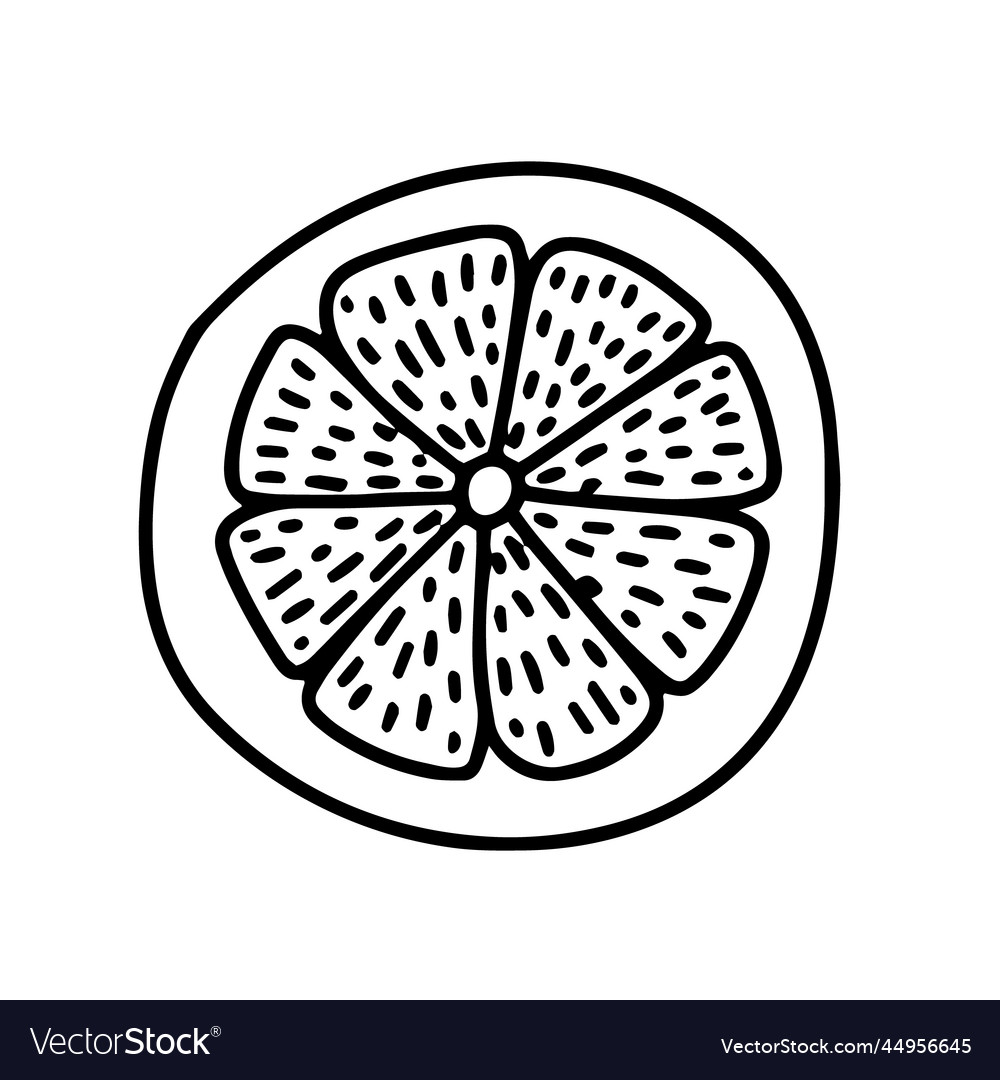 Slice of lemon sketch